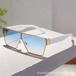 Shield Sunglasses