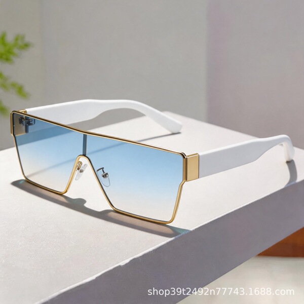 Shield Sunglasses